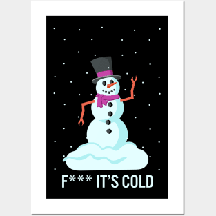 F*** It's Cold Posters and Art